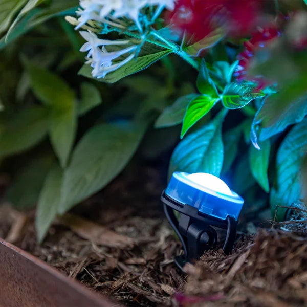 Enbrighten Wi-Fi Eternity Outdoor Landscape Lights