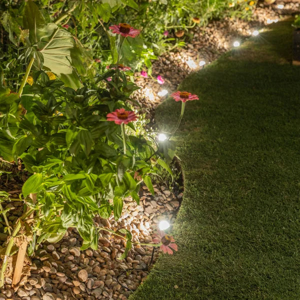 Enbrighten Wi-Fi Eternity Outdoor Landscape Lights