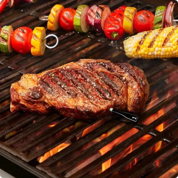 Chef iQ Smart Thermometer and Hub, 2-probe Set