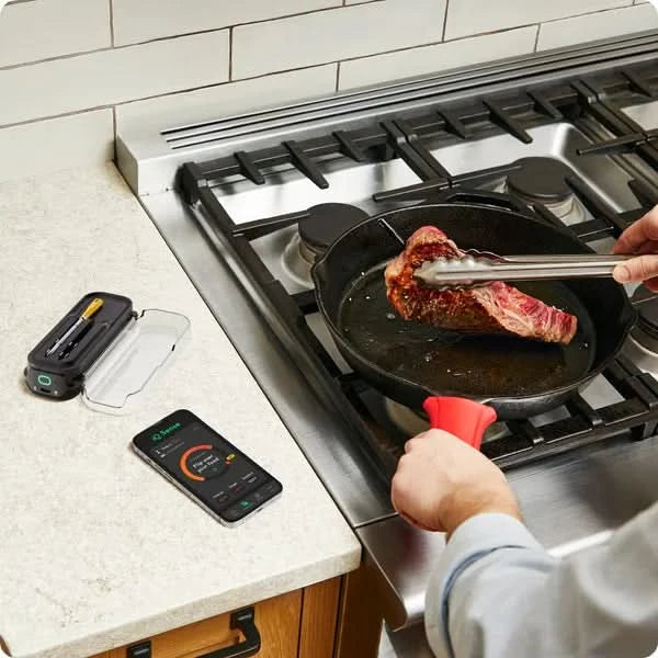Chef iQ Smart Thermometer and Hub, 2-probe Set