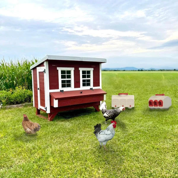 OverEZ Classic Large Chicken Coop with Feeder, Waterer, and Bedding