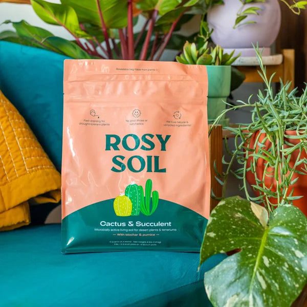 Cactus & Succulent Soil – 4 Quart 3-pack