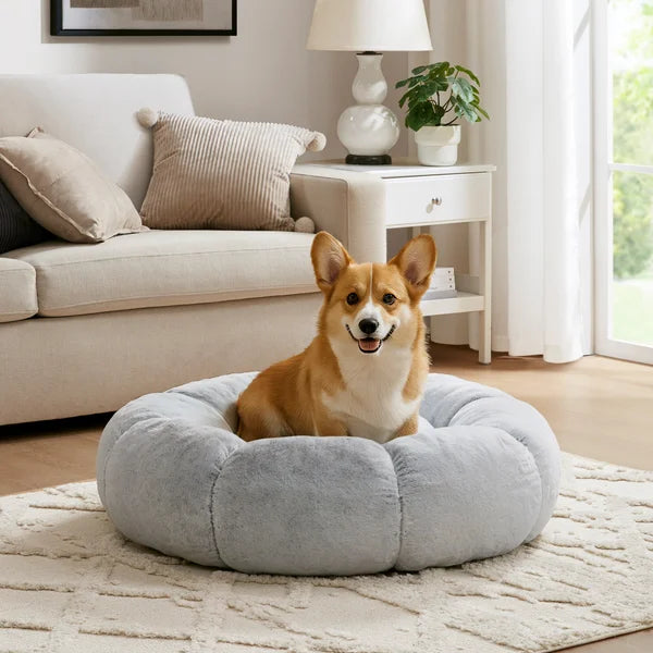 Friends Forever Pumpkin Donut 36" Pet Bed