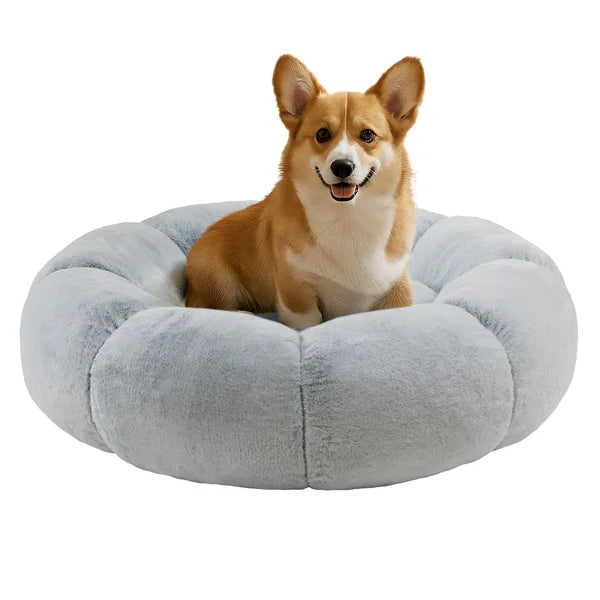Friends Forever Pumpkin Donut 36" Pet Bed