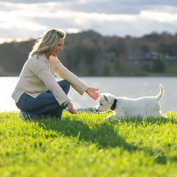 PetSafe Guardian GPS 2.0 Dog Fence + Tracking Collar