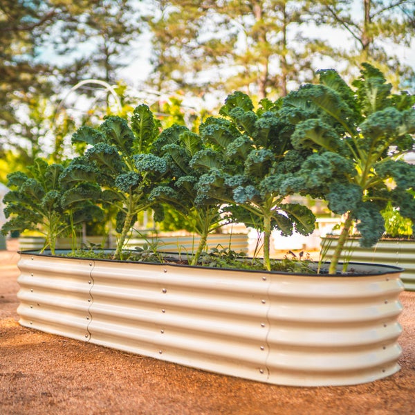 Vego Garden 14” 9 in 1 Modular Metal Raised Garden Bed Kit