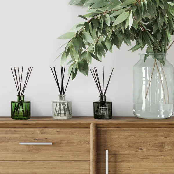 Bellevue Geo Reed Diffuser Set 6oz, 3-pack