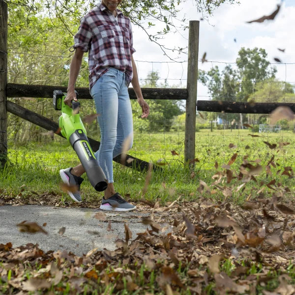 Greenworks 2x24V Blower (2) 5 AH Batteries and Dual Port Charger
