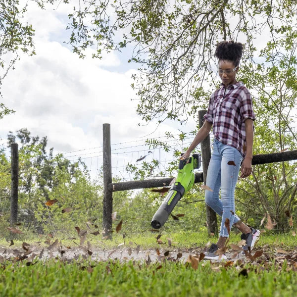Greenworks 2x24V Blower (2) 5 AH Batteries and Dual Port Charger