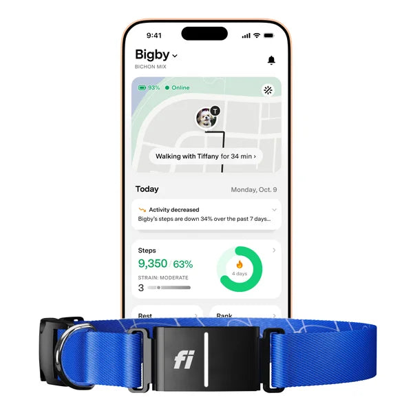 Fi Series 3+ Smart Dog Collar - GPS Tracker and Activity & Health Monitor