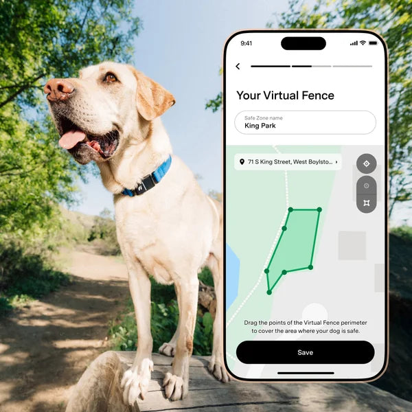 Fi Series 3+ Smart Dog Collar - GPS Tracker and Activity & Health Monitor