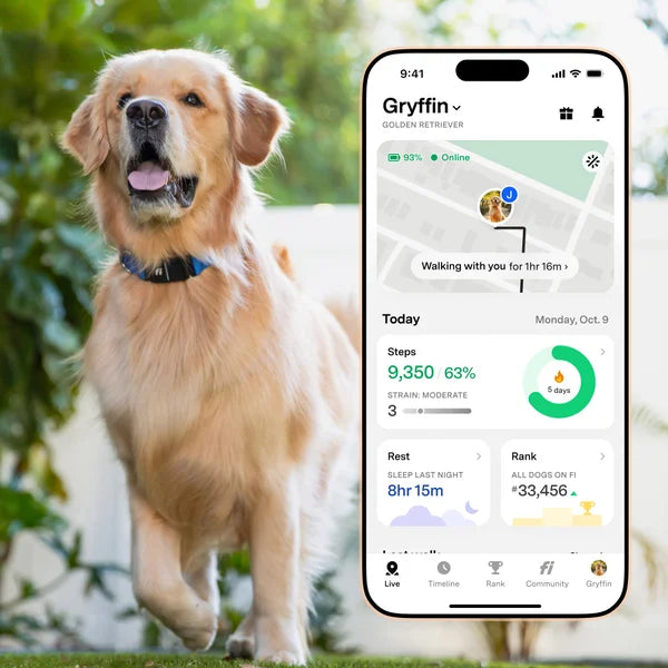 Fi Series 3+ Smart Dog Collar - GPS Tracker and Activity & Health Monitor