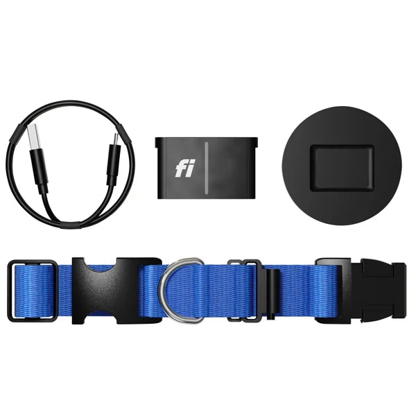 Fi Series 3+ Smart Dog Collar - GPS Tracker and Activity & Health Monitor