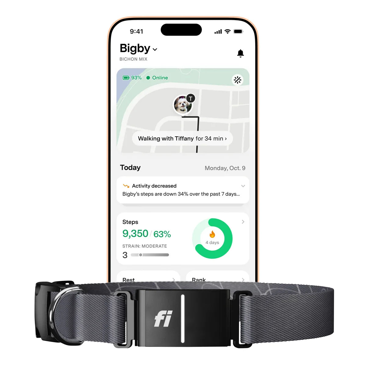 Fi Series 3+ Smart Dog Collar - GPS Tracker and Activity & Health Monitor