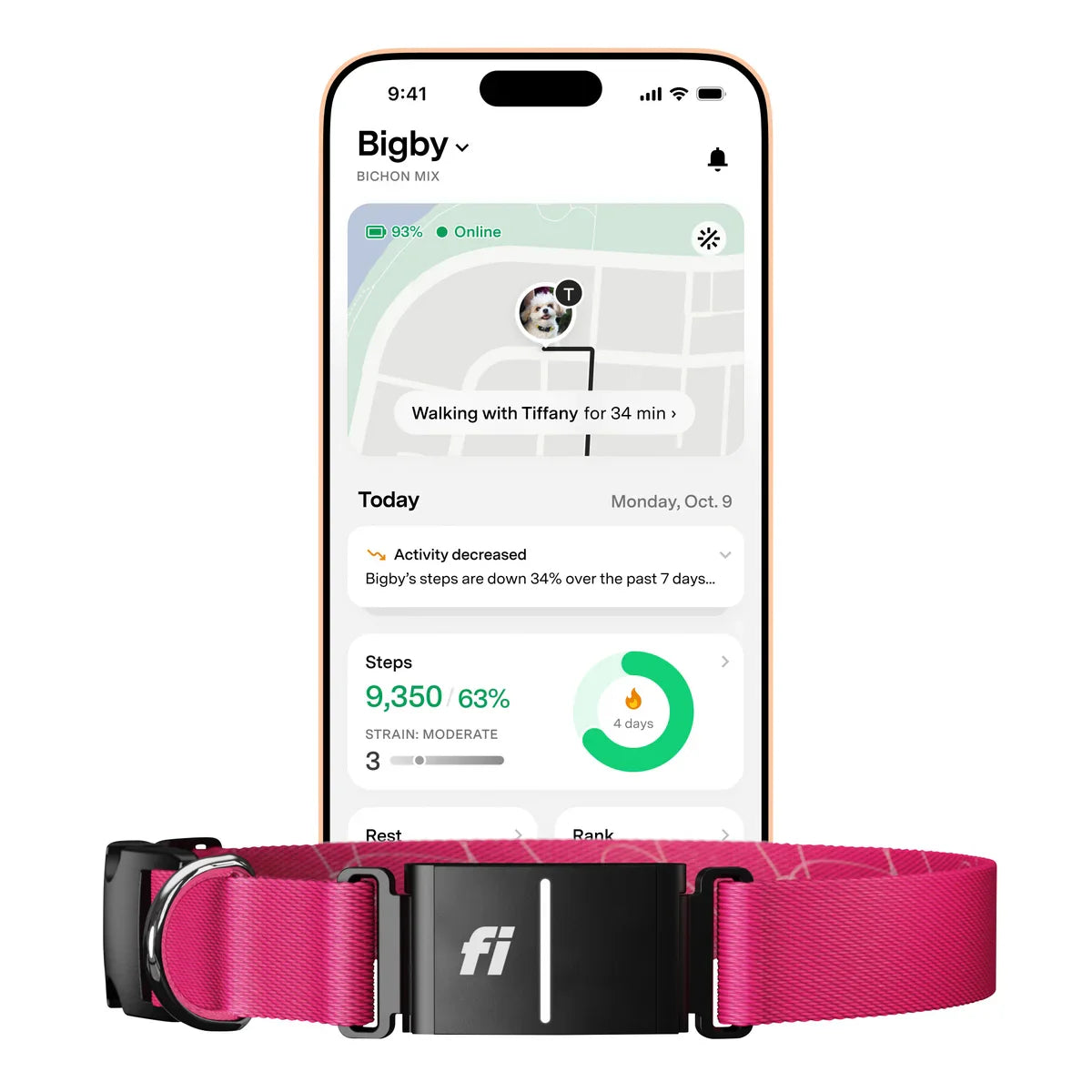 Fi Series 3+ Smart Dog Collar - GPS Tracker and Activity & Health Monitor