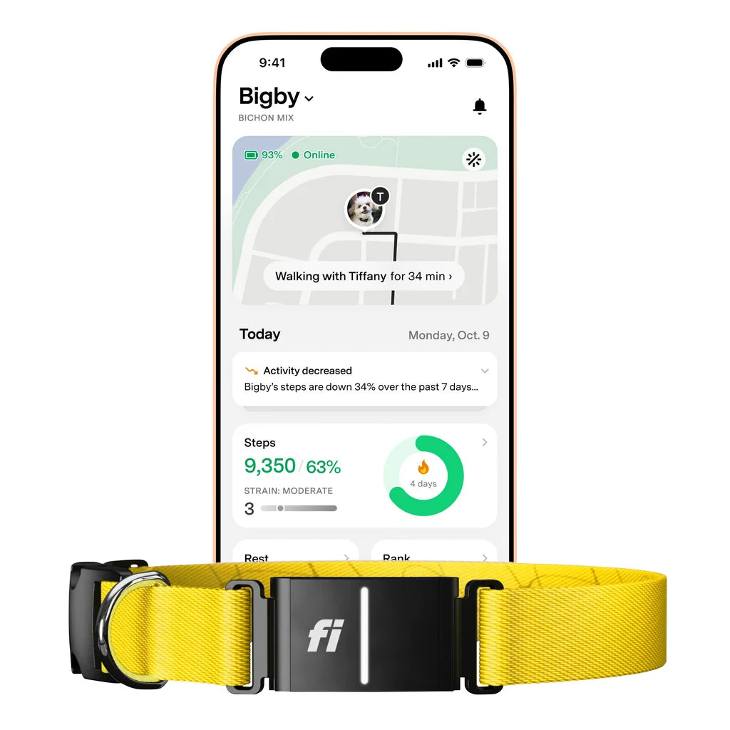 Fi Series 3+ Smart Dog Collar - GPS Tracker and Activity & Health Monitor, 14-Month Membership