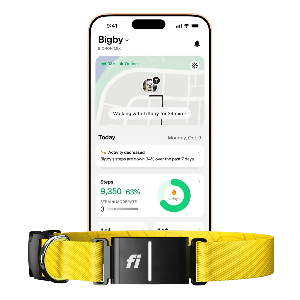 Fi Series 3+ Smart Dog Collar - GPS Tracker and Activity & Health Monitor