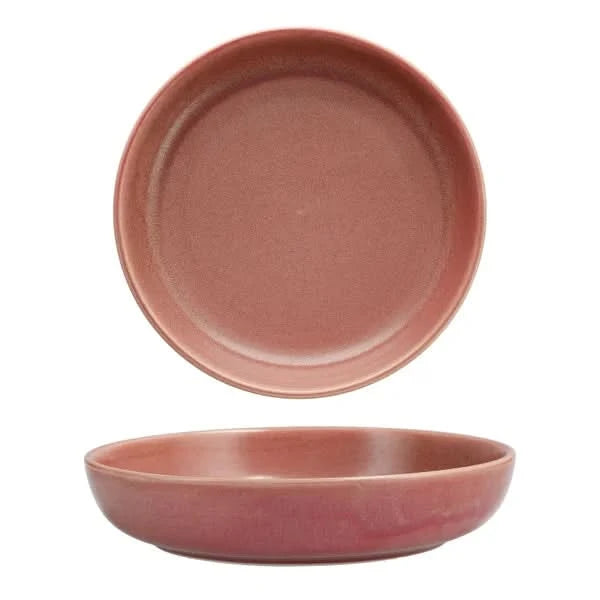 Fortessa Sound Desert Rose 16-piece Dinnerware Set