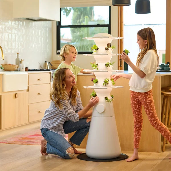 Lettuce Grow Farmstand Nook