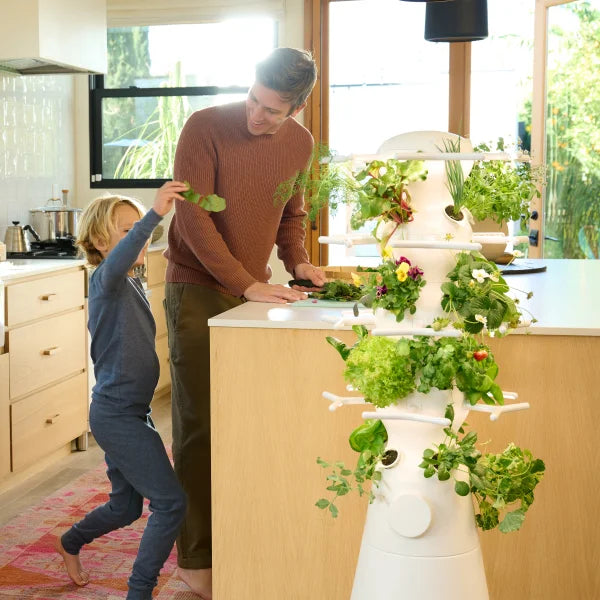 Lettuce Grow Farmstand Nook