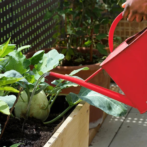 Back to the Roots 60 Cubic Feet Organic Raised Bed Soil