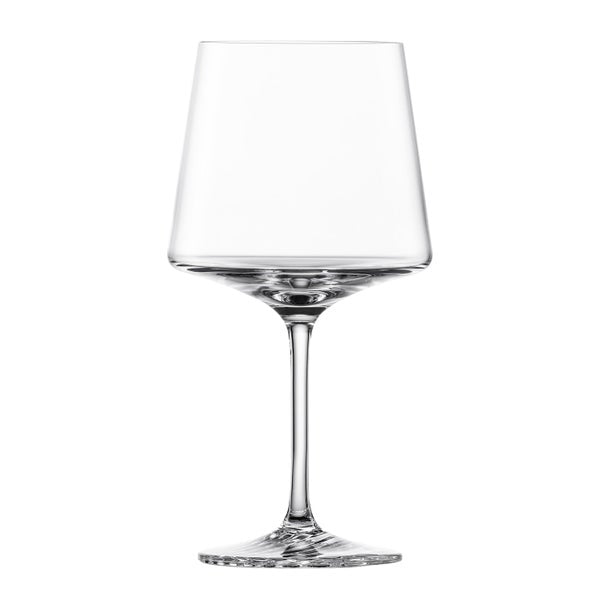 Fortessa Echo Tritan Gin Tonic Glasses 21.3 oz, Set of 4