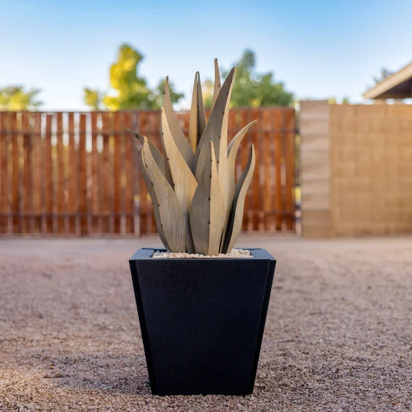 Snake Agave with Planter by Desert Steel
