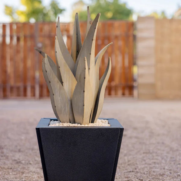 Snake Agave with Planter by Desert Steel
