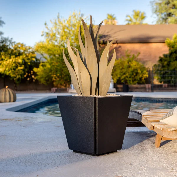 Snake Agave with Planter by Desert Steel