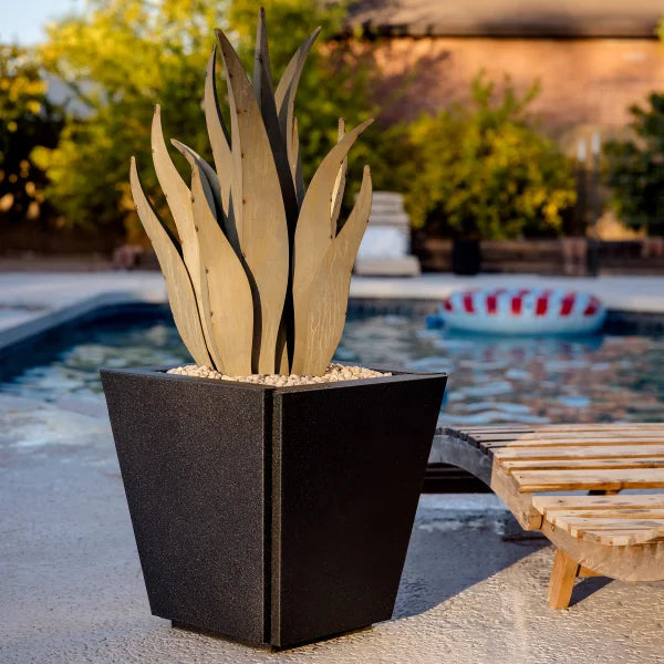 Snake Agave with Planter by Desert Steel