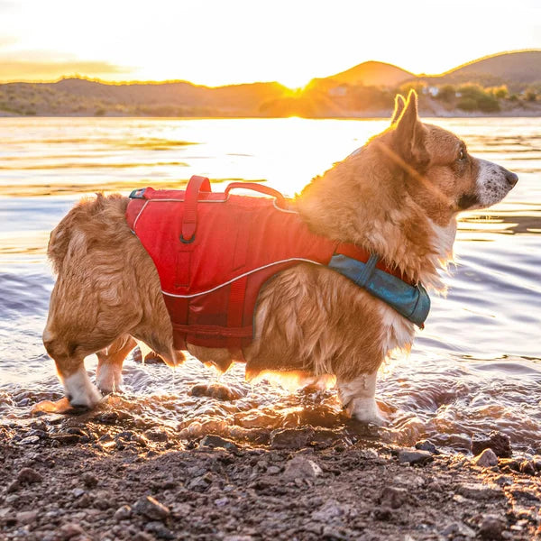 Kurgo Surf n Turf Dog Life Jacket