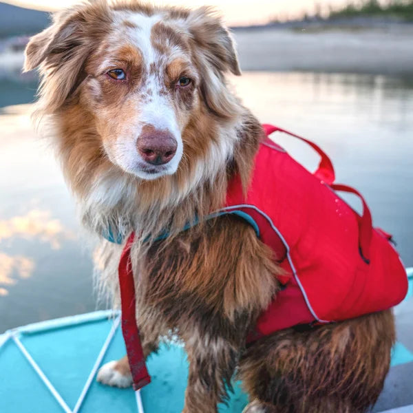 Kurgo Surf n Turf Dog Life Jacket