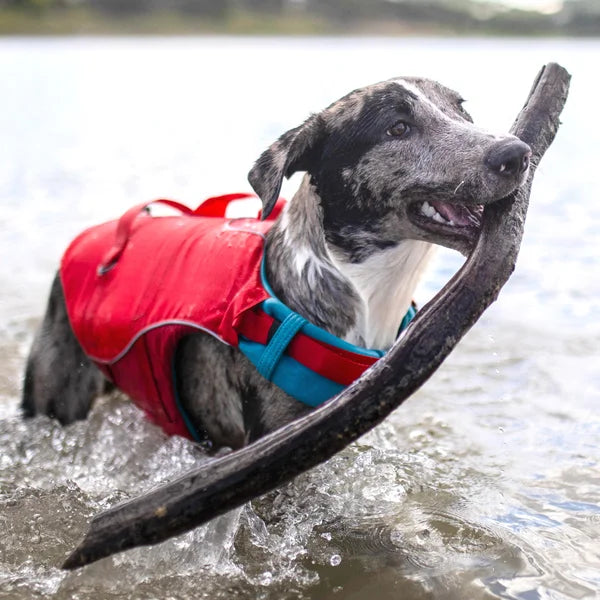 Kurgo Surf n Turf Dog Life Jacket