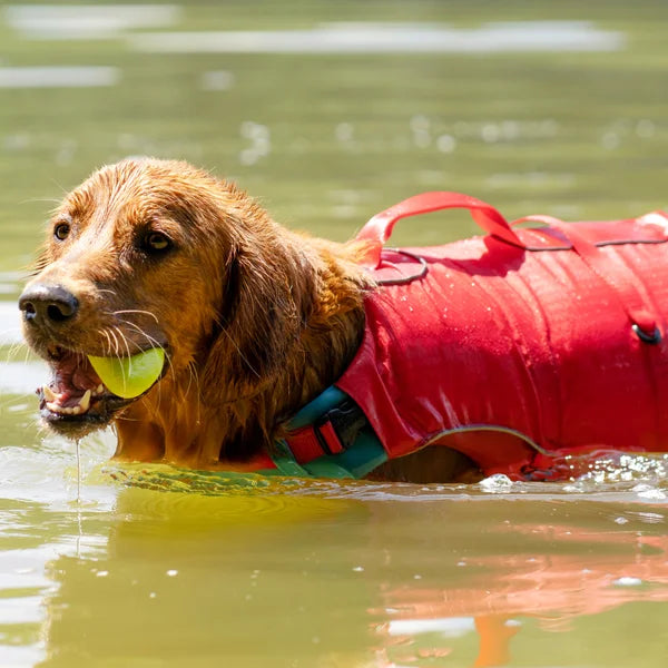 Kurgo Surf n Turf Dog Life Jacket