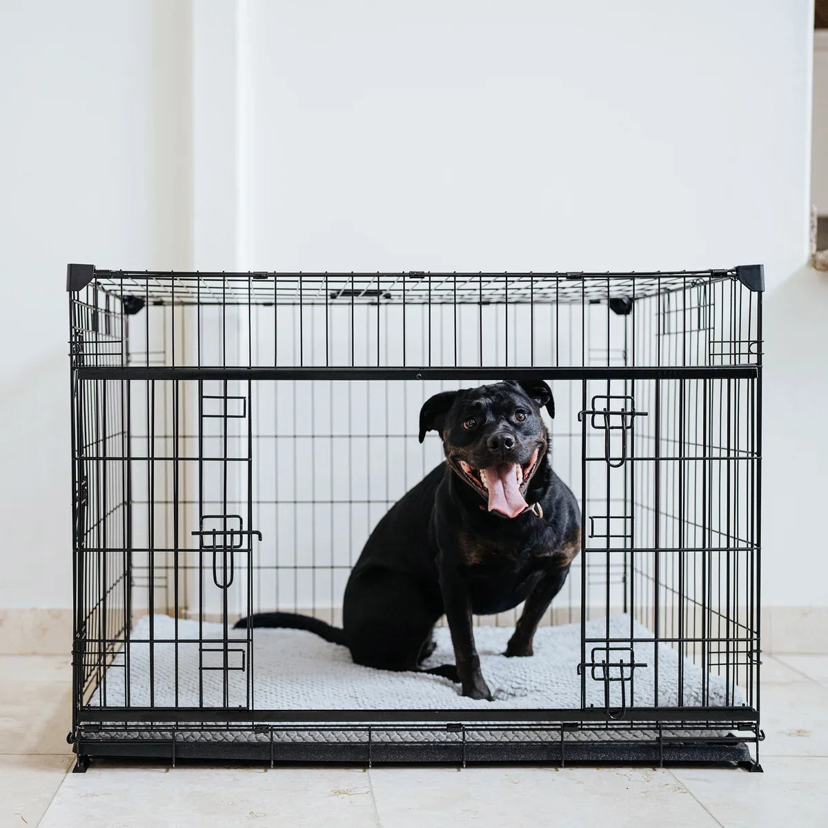 Lucky Dog DWELL Series Crate, Black Finish