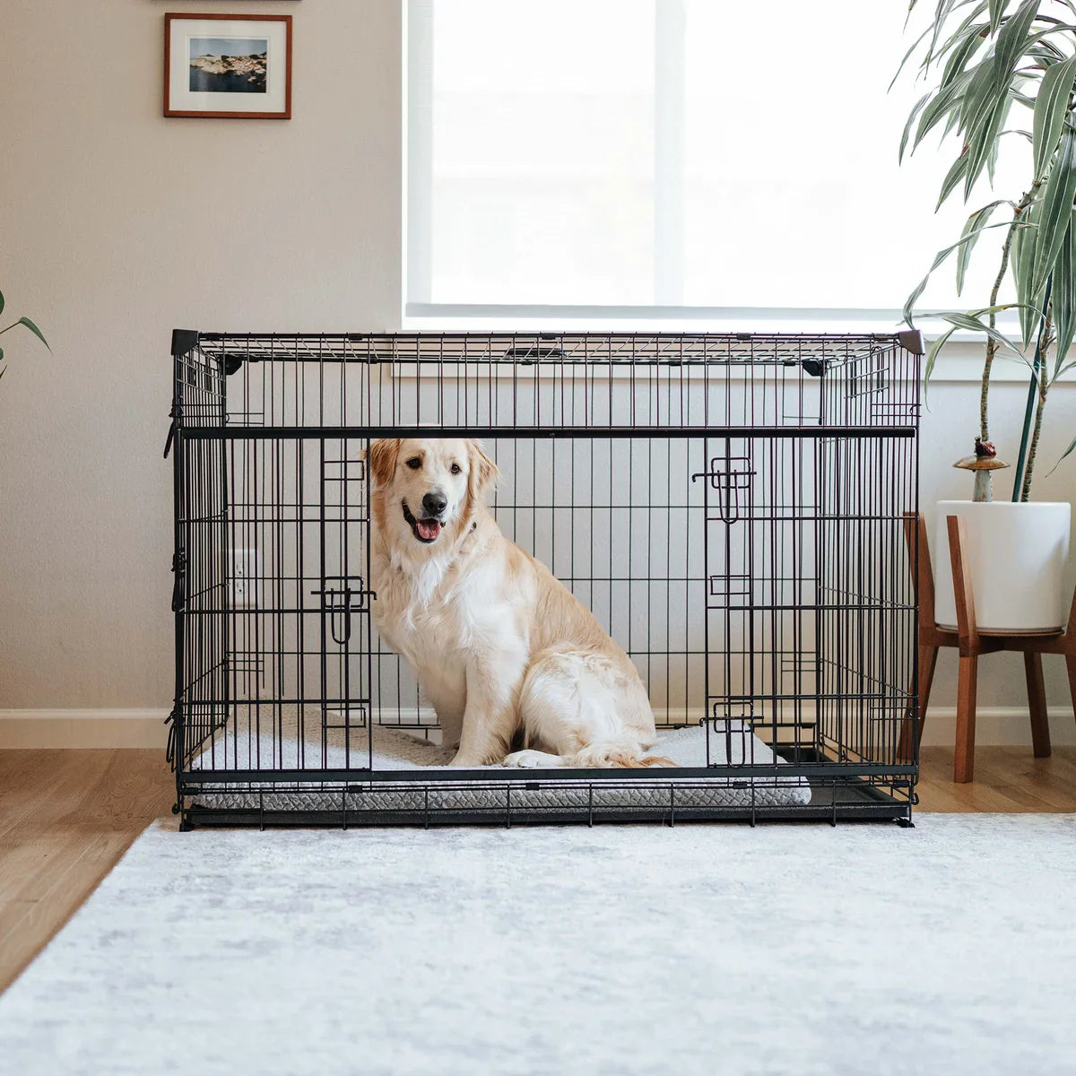 Lucky Dog DWELL Series Crate, Black Finish
