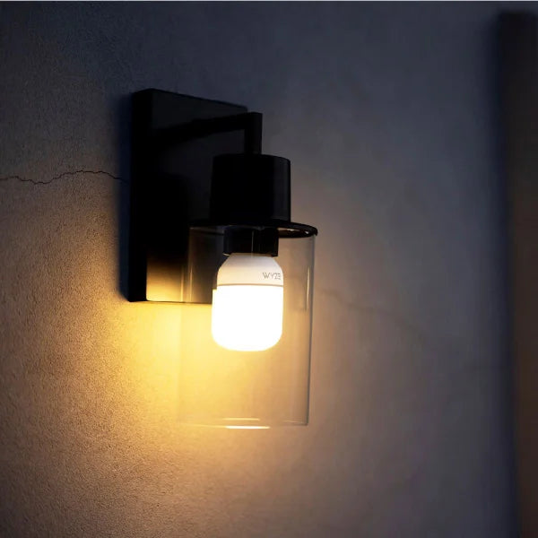 Wyze 2k Bulb Cam and Accessory Bulb Bundle