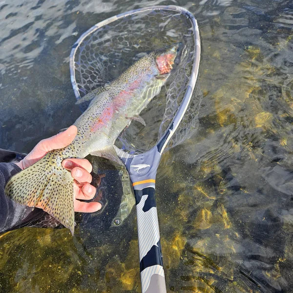 WETFLY Titanium Carbon Fiber Net