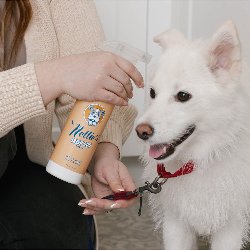 Nellie's Dog Towel and Waterless Dog 16 fl oz Shampoo Bundle