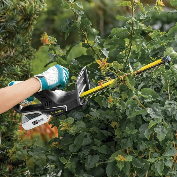 Sun Joe 24V Cordless IONMax Yard Kit