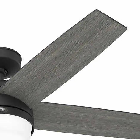 Hunter Asheville 52” Ceiling Fan – Indoor / Outdoor