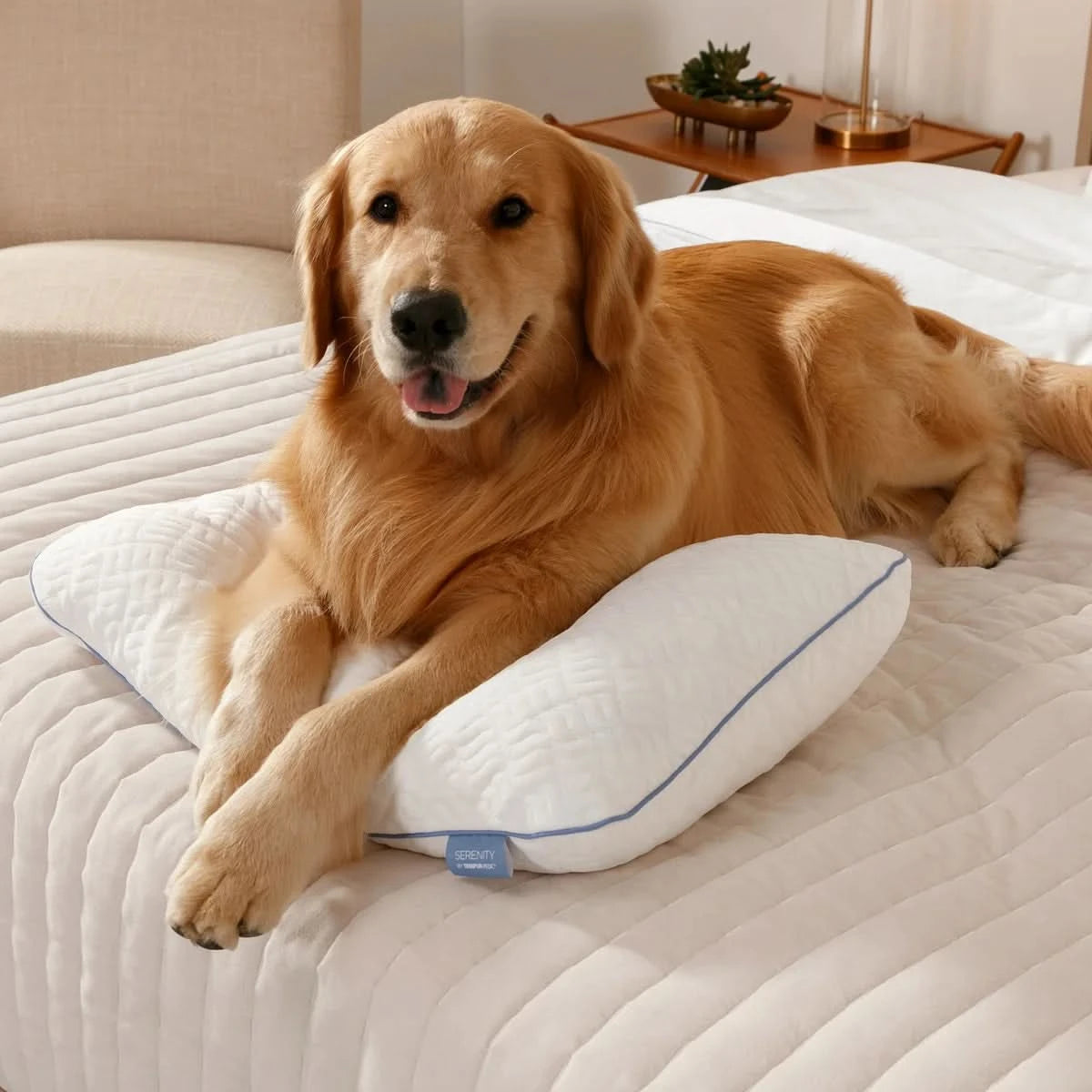 Serenity by Tempur-Pedic Adjustable Memory Foam Shred Bed Pillow