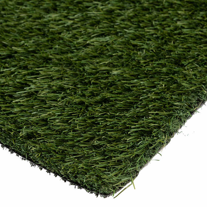 46 oz BlueGrass Artificial Turf
