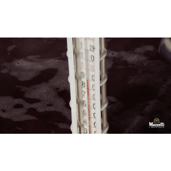 Mazzetti Traditional Balsamic Vinegar of Modena Aged 25 Years