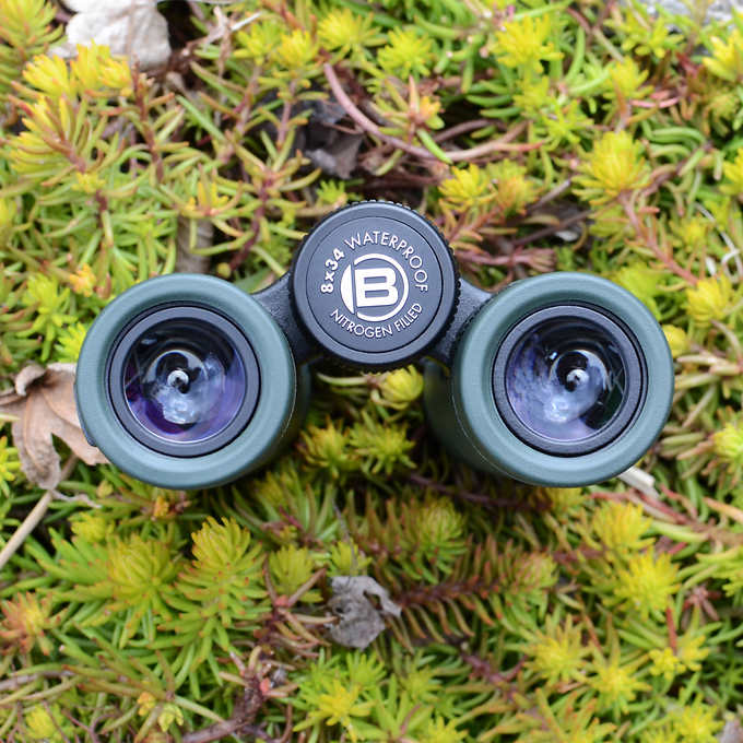 Bresser Pirsch Compact Binoculars