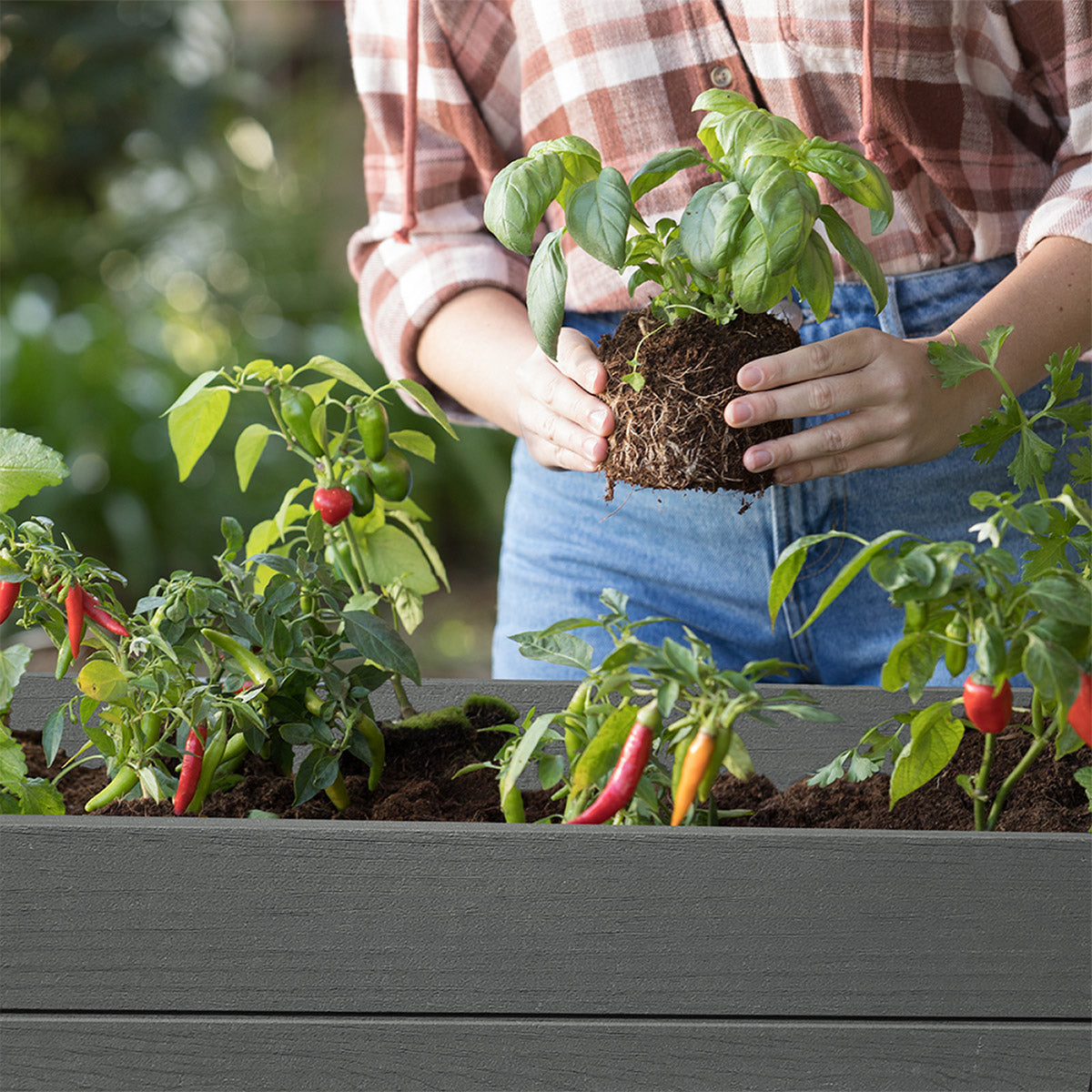 Keter Darwin 29 Gallon Raised Garden Bed and Self Watering Planter Box