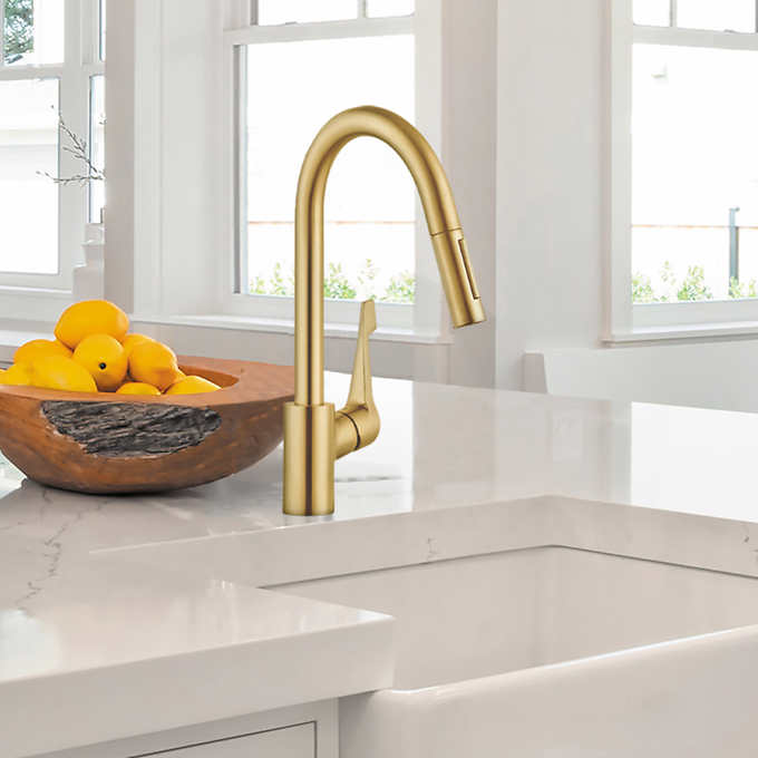 Hansgrohe Cento Kitchen Faucet