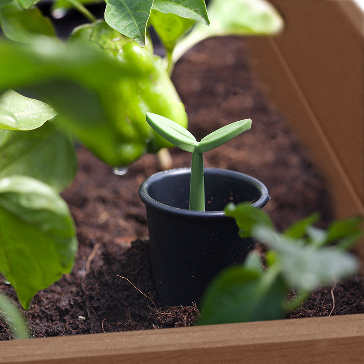 Keter Darwin 29 Gallon Raised Garden Bed and Self Watering Planter Box