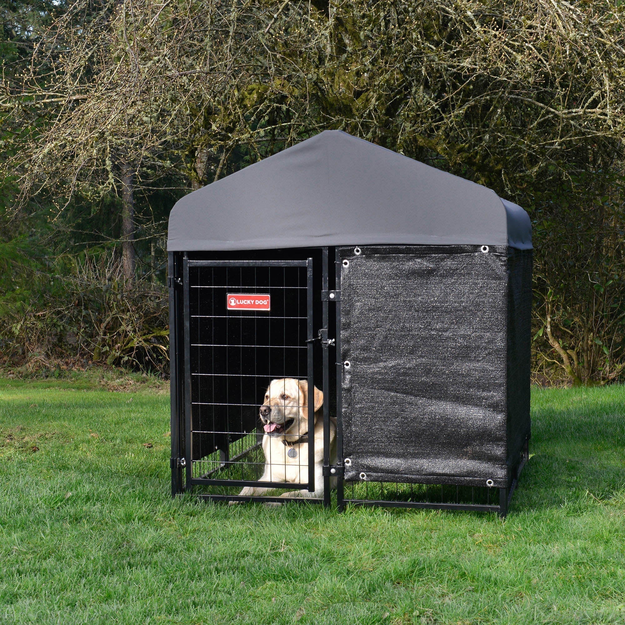 Lucky Dog STAY Series Studio Jr. Dog Kennel 4'x4' with Privacy Screen