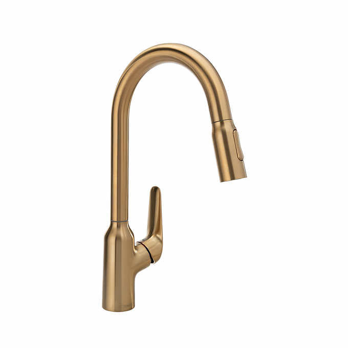 Hansgrohe Focus N Single-Handle Pull-Down Sprayer Kitchen Faucet